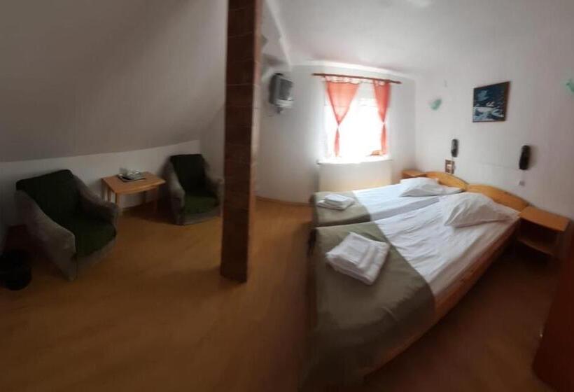 家庭工作室, Pensiunea Maria