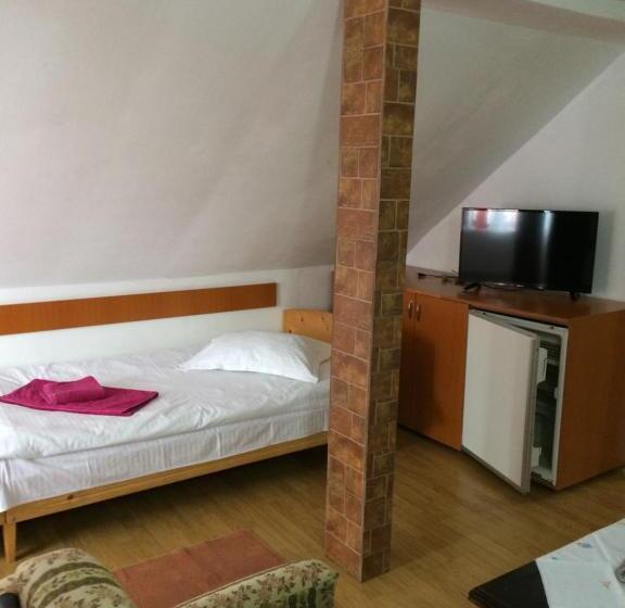 家庭工作室, Pensiunea Maria