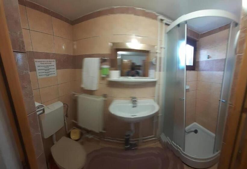 家庭工作室, Pensiunea Maria