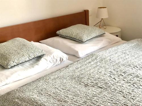 1ベッドルームアパートメント, Penzion Kvilda Luční