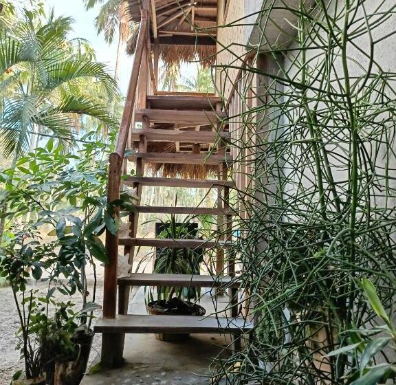 标准间, Zhaya S Beach & Cottages