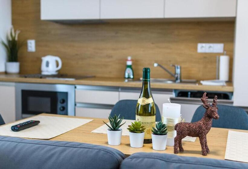 1ベッドルームのデラックスアパートメント, Apartmány Nmnm Rezidence Nad Městem