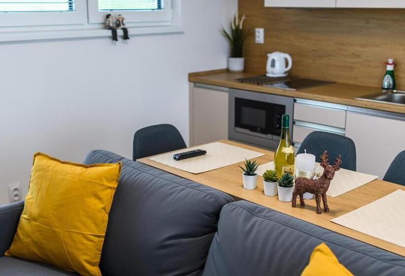 1ベッドルームのデラックスアパートメント, Apartmány Nmnm Rezidence Nad Městem