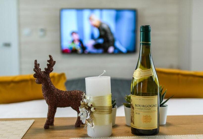 1ベッドルームアパートメント, Apartmány Nmnm Rezidence Nad Městem