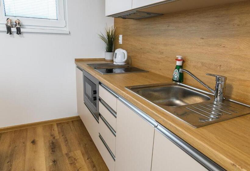 1ベッドルームのデラックスアパートメント, Apartmány Nmnm Rezidence Nad Městem