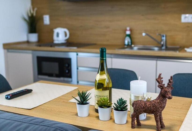 1ベッドルームのデラックスアパートメント, Apartmány Nmnm Rezidence Nad Městem