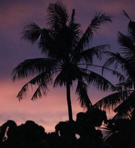 اتاق استاندارد با چشم‌انداز باغ, Soffta Surf Ranch