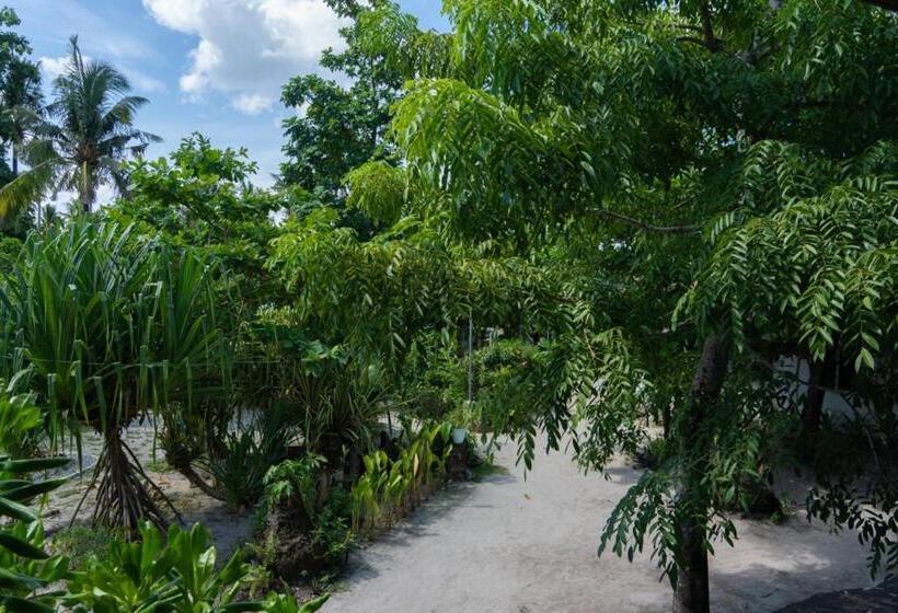 اتاق استاندارد با چشم‌انداز باغ, Soffta Surf Ranch