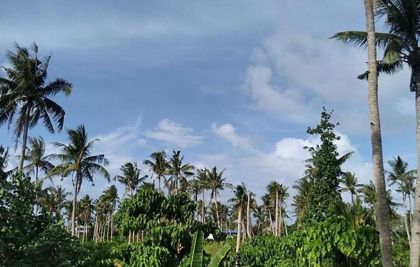 اتاق استاندارد سه تخته با چشم‌انداز باغ, Soffta Surf Ranch