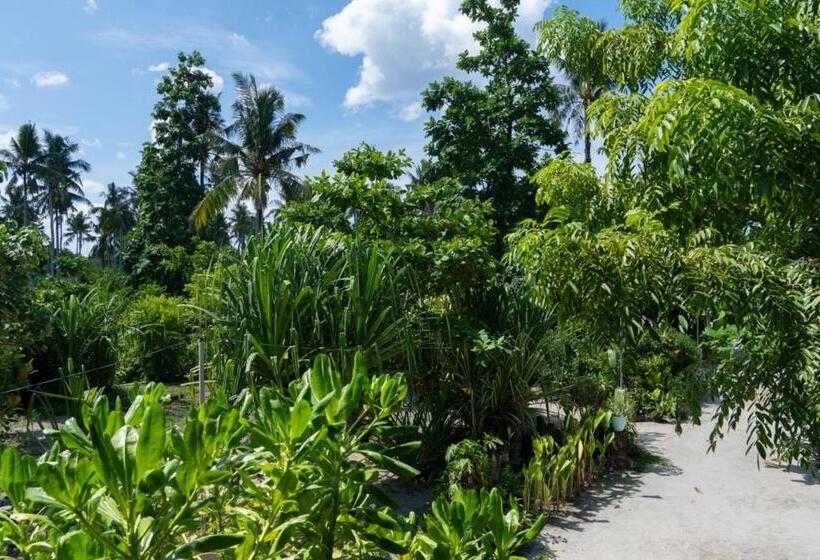 اتاق استاندارد سه تخته با چشم‌انداز باغ, Soffta Surf Ranch