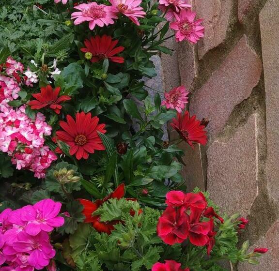 חדר סטנדרט חדר אמבטיה משותף, B&b Aloysia