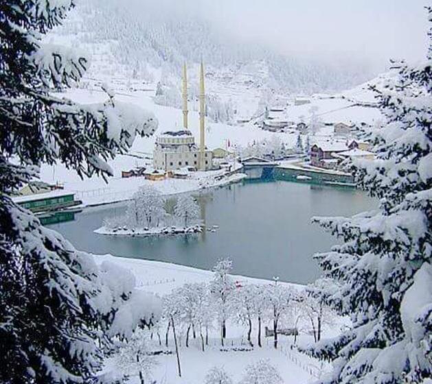 آپارتمان 1 خوابه, Mavi̇ Köşk Uzungöl