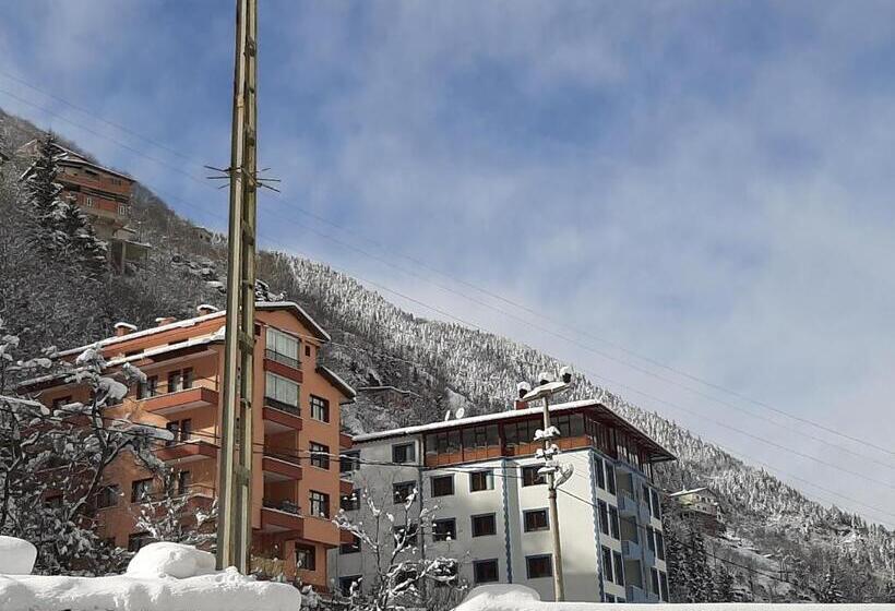 آپارتمان سوپریور 1 خوابه, Mavi̇ Köşk Uzungöl