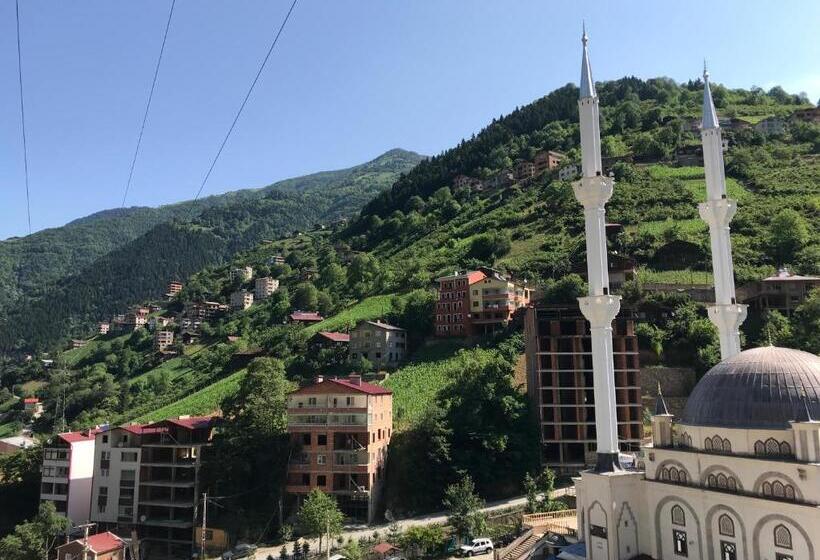 آپارتمان سوپریور 1 خوابه, Mavi̇ Köşk Uzungöl