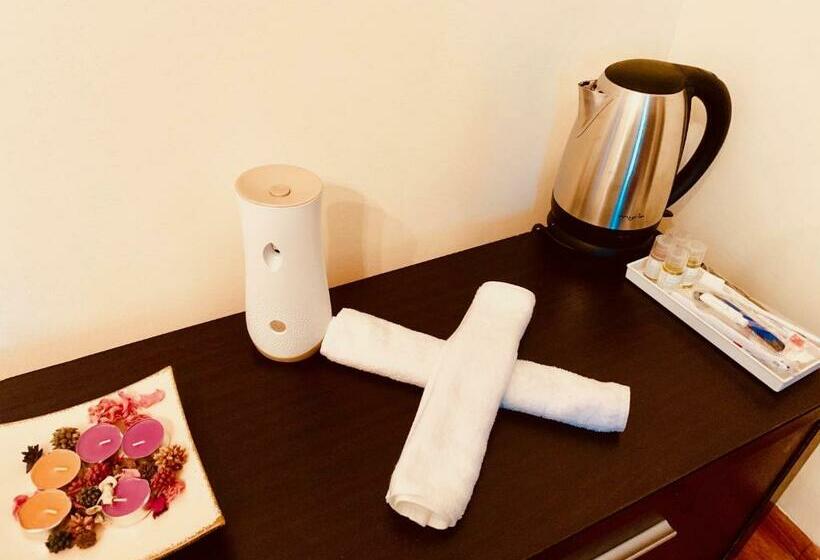 Номер Стандарт, Casa Carter