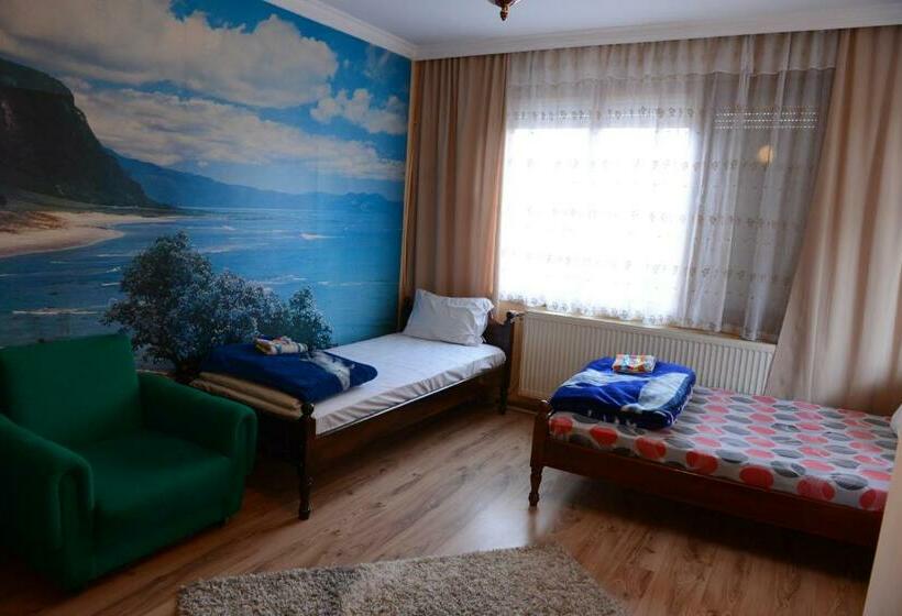 Номер Стандарт, Delieva House