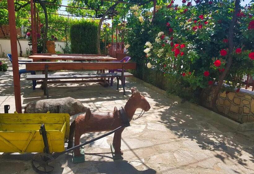 Номер Стандарт, Delieva House