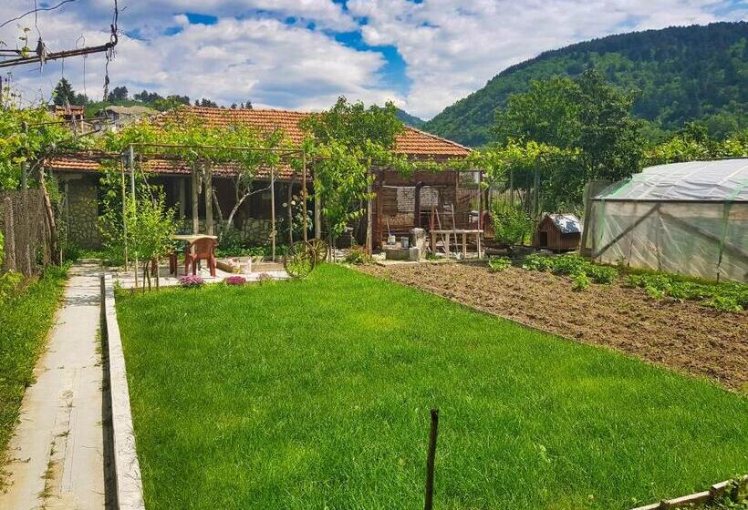 스탠다드 룸, Delieva House