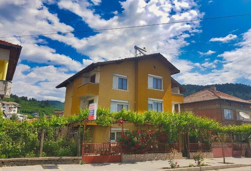 Номер Стандарт, Delieva House