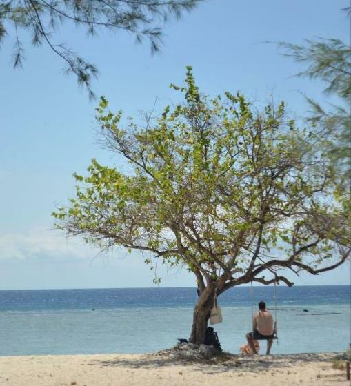 豪华洋房, Mimpi Bungalow