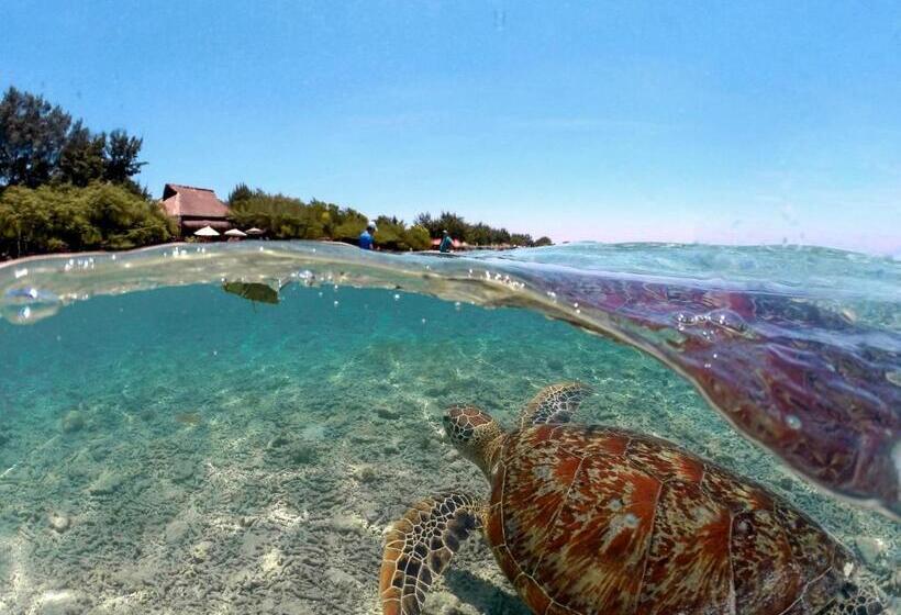 豪华洋房, Mimpi Bungalow