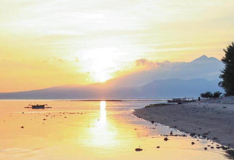 标准平房, Mimpi Bungalow