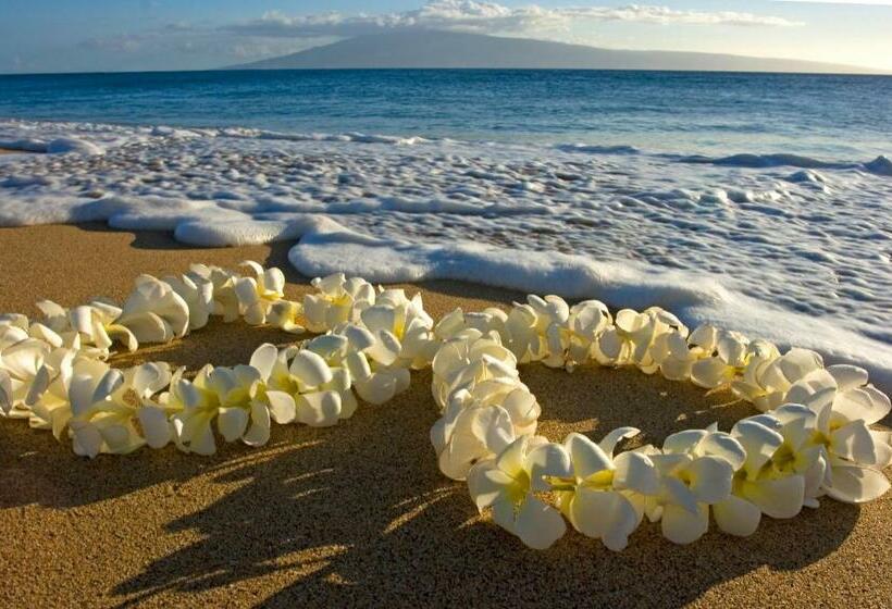 شقة غرفة واحدة مطلة على البحر, Pacific Monarch   1 Br   Ocean And City Views!