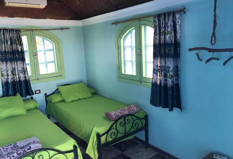 اتاق استاندارد با چشم‌انداز دریا, Nubian Paradise