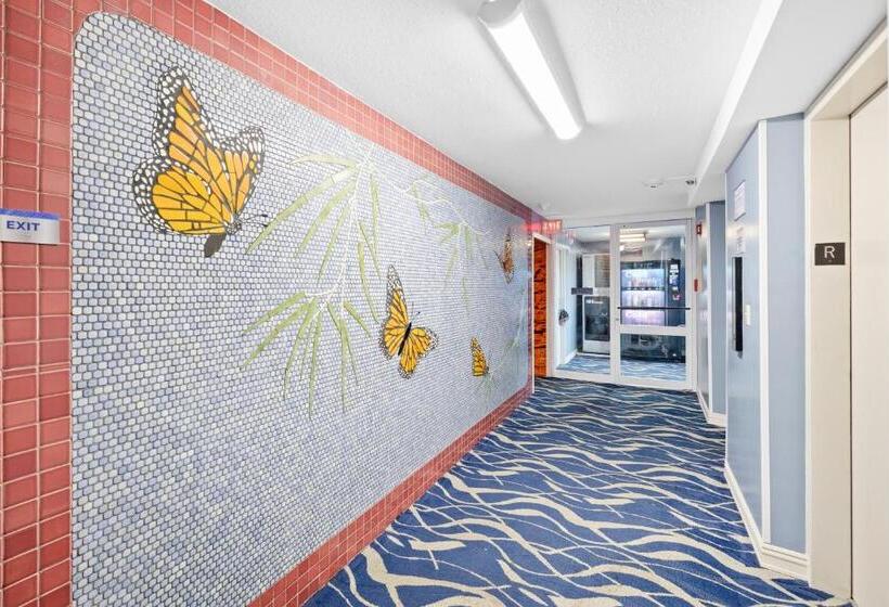 شقة غرفة واحدة مطلة على البحر, Pacific Monarch   1 Br   Ocean And City Views!