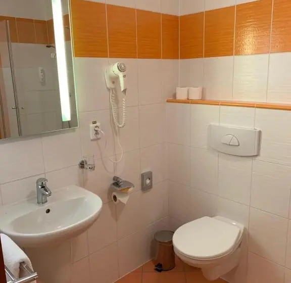 スタンダードシングルルーム, Wellness & Spa Apartments Lipno   Frymburk