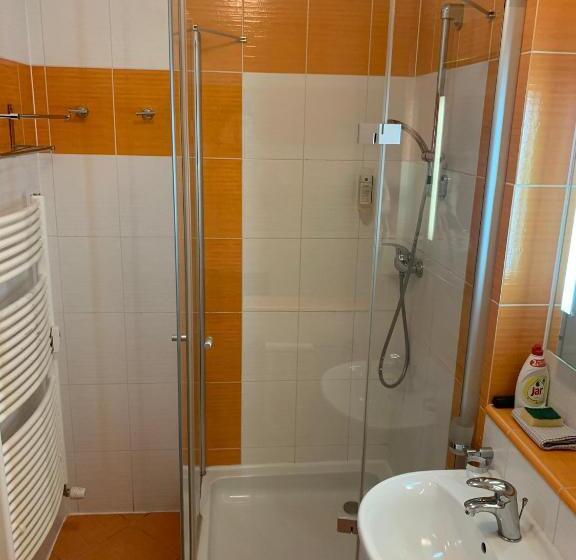 غرفة قياسية, Wellness & Spa Apartments Lipno   Frymburk