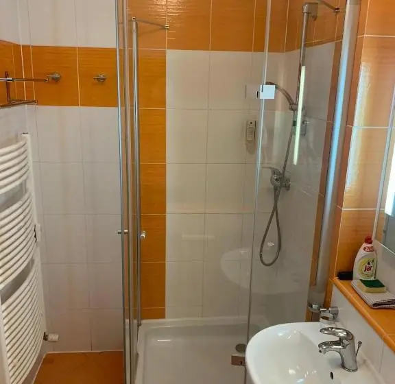 スタンダードルーム, Wellness & Spa Apartments Lipno   Frymburk