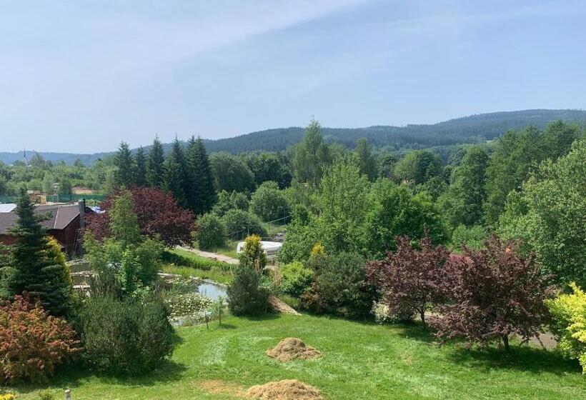 غرفة قياسية مطلّة علي البحيرة, Wellness & Spa Apartments Lipno   Frymburk