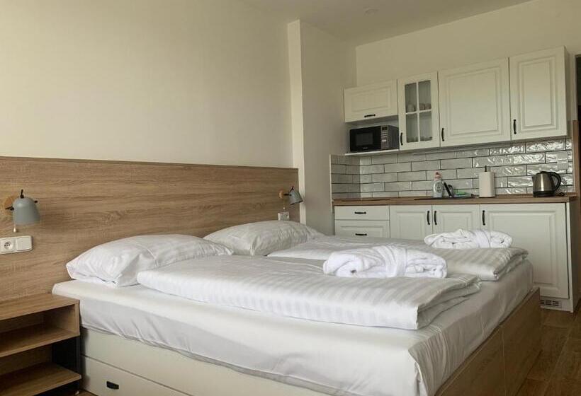 غرفة قياسية مطلّة علي البحيرة, Wellness & Spa Apartments Lipno   Frymburk