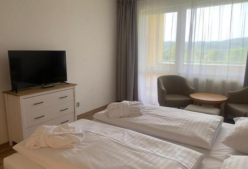 Номер Стандарт Вид на Озеро, Wellness & Spa Apartments Lipno   Frymburk