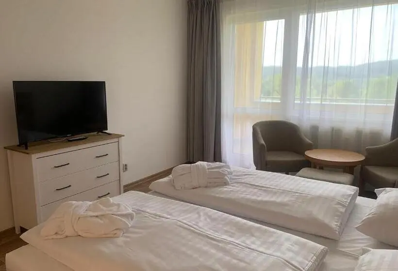レイクビュースタンダードルーム, Wellness & Spa Apartments Lipno   Frymburk