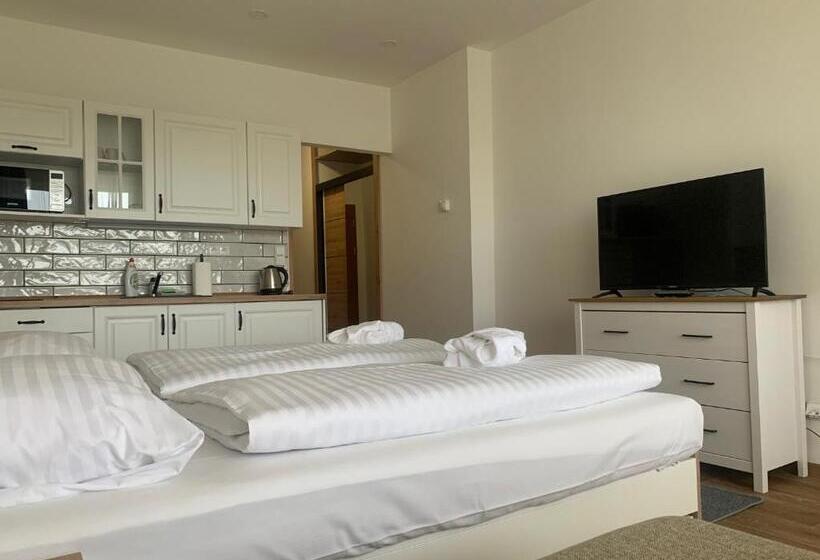 غرفة قياسية مطلّة علي البحيرة, Wellness & Spa Apartments Lipno   Frymburk