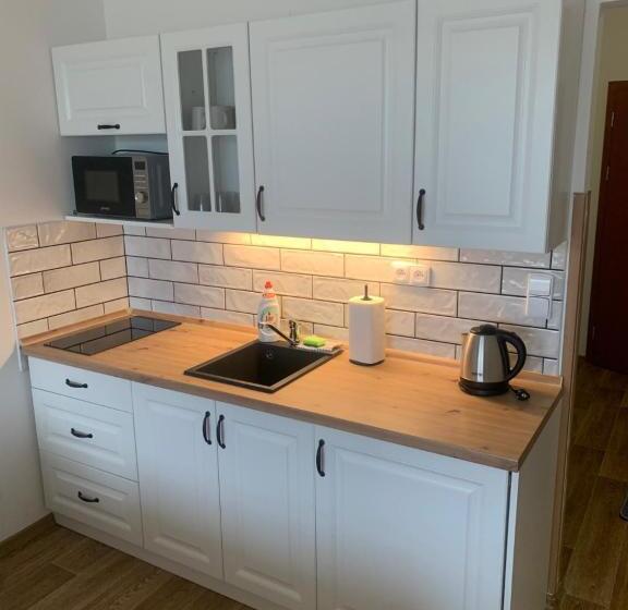 غرفة قياسية مطلّة علي البحيرة, Wellness & Spa Apartments Lipno   Frymburk