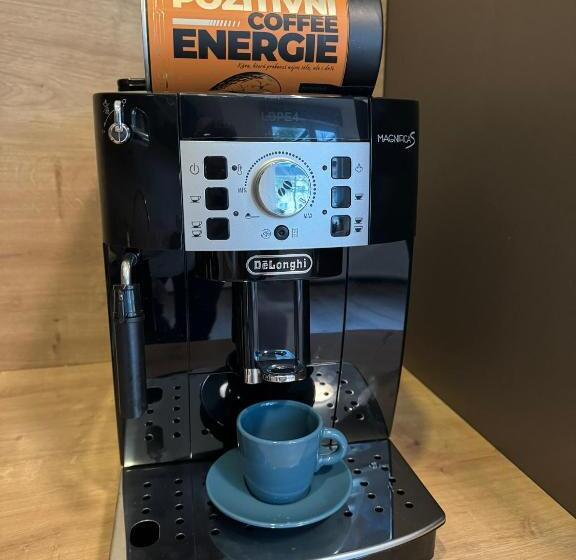 شقة غرفتين, Wellness & Spa Apartments Lipno   Frymburk