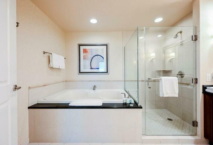 スタンダードスタジオ, Stripviewsuites At Signature