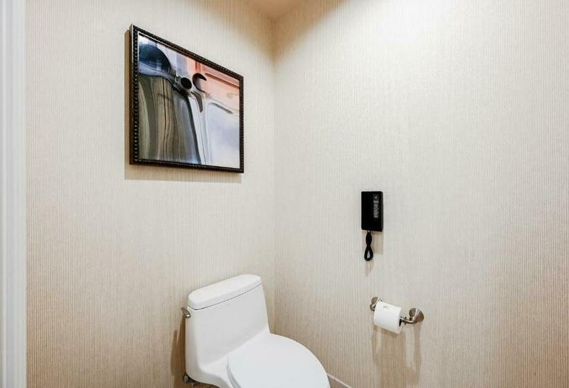 スタンダードスタジオ, Stripviewsuites At Signature