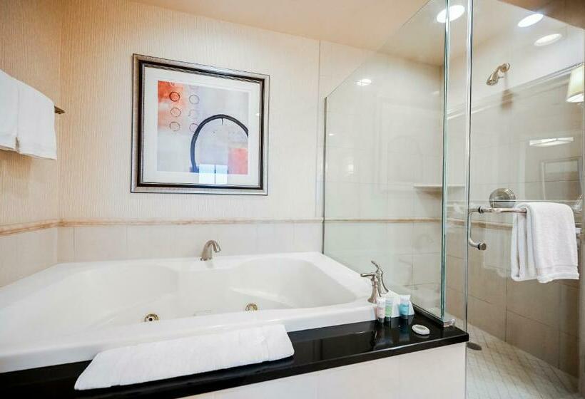 スタンダードスタジオ, Stripviewsuites At Signature