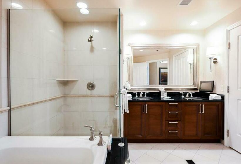 استودیوی استاندارد, Stripviewsuites At Signature