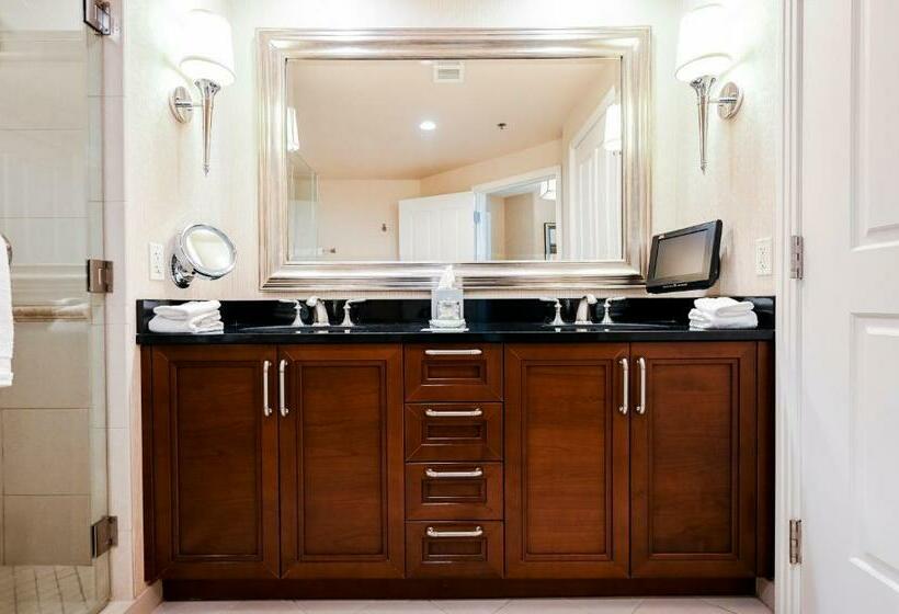 スタンダードスタジオ, Stripviewsuites At Signature