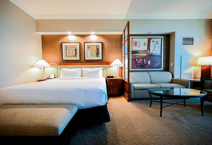 استودیوی استاندارد, Stripviewsuites At Signature