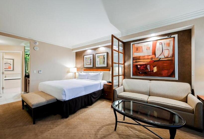 スタンダードスタジオ, Stripviewsuites At Signature