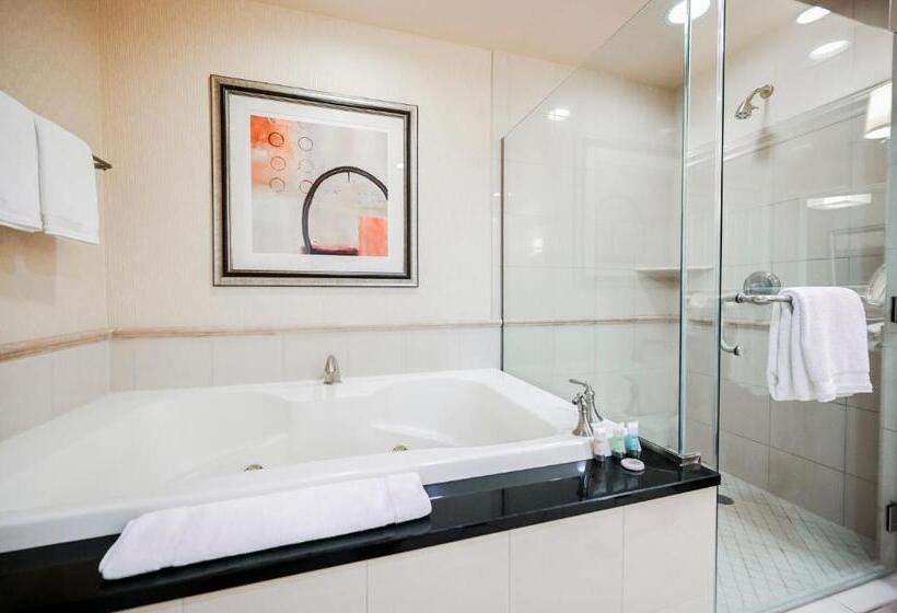 バルコニー付きスタンダードステューディオ, Stripviewsuites At Signature