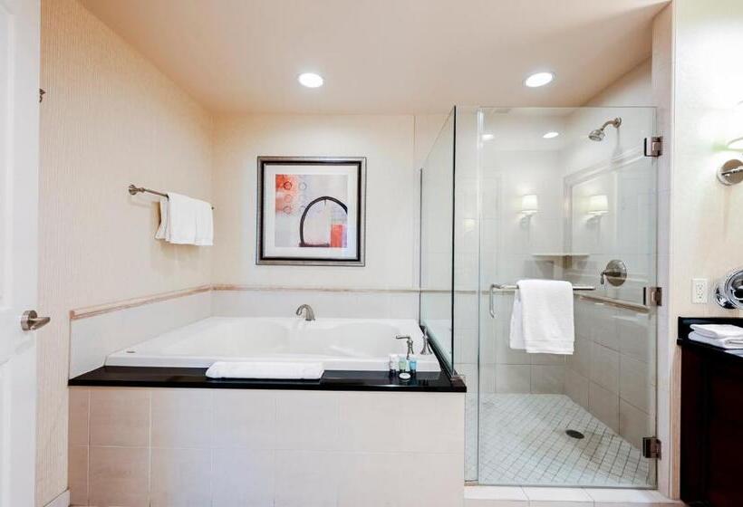 スタンダードスタジオ, Stripviewsuites At Signature