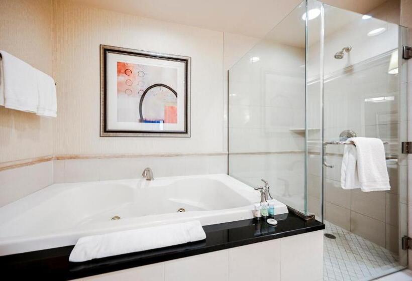 استودیوی استاندارد, Stripviewsuites At Signature