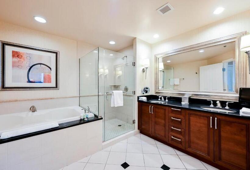 スタンダードスタジオ, Stripviewsuites At Signature